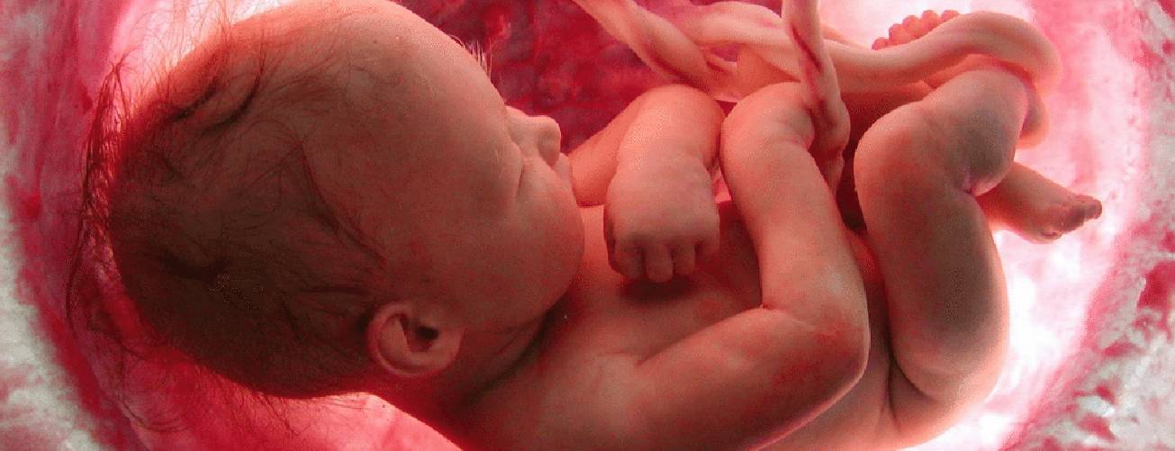 O que é sofrimento fetal e quais suas repercussões ao longo da vida